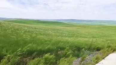 4k超高清拍摄大美草原乌兰五台景区视频视频的预览图